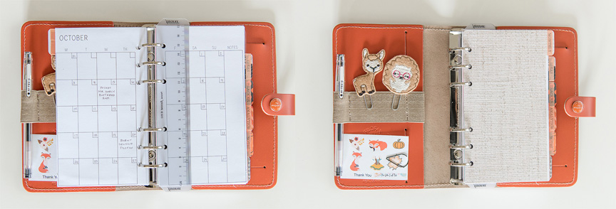 orange organizer